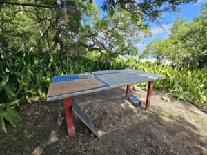 Filleting table for the catch of the day