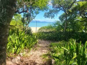Coastal Path Beach Scene In Australia near Airlie Beach